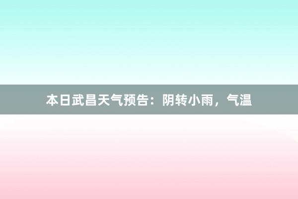 本日武昌天气预告：阴转小雨，气温